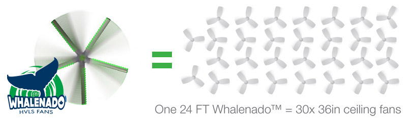 1 24FT Whalenado performance is equal to 30 36FT ceiling fans